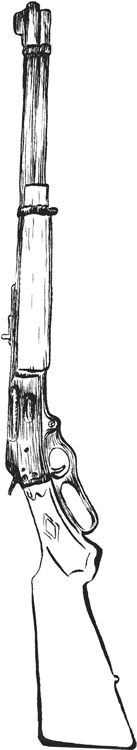 gun